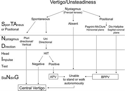 Differential Diagnosis of Vertigo in the Emergency Department: A Prospective Validation Study of the STANDING Algorithm